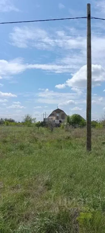 Участок в Оренбургская область, Оренбургский район, Пригородный ... - Фото 2