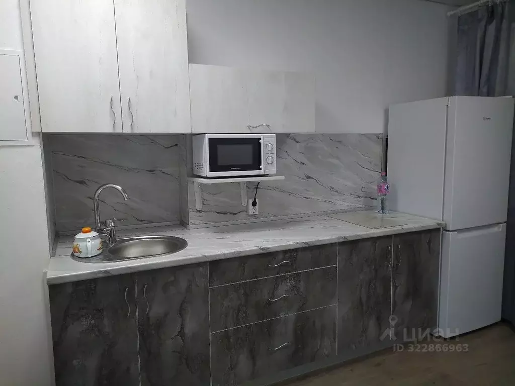 1-к кв. Нижегородская область, Нижний Новгород ул. Максима Горького, ... - Фото 1