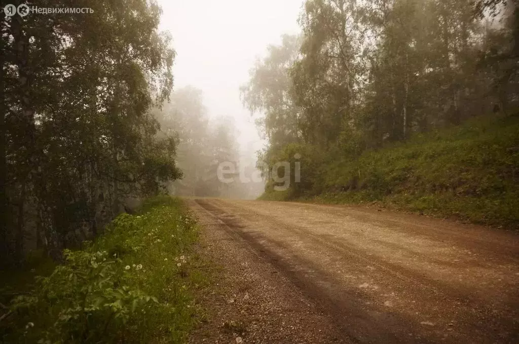 Участок в Чемальский район, село Чемал (1740 м) - Фото 1