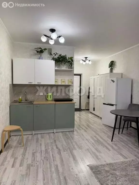 Квартира-студия: Новосибирск, улица Бориса Богаткова, 192А (26.8 м) - Фото 2