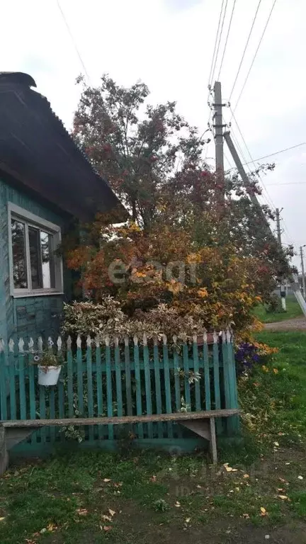 Дом в Тюменская область, Исетский район, с. Минино ул. Гагарина (42 м) - Фото 0