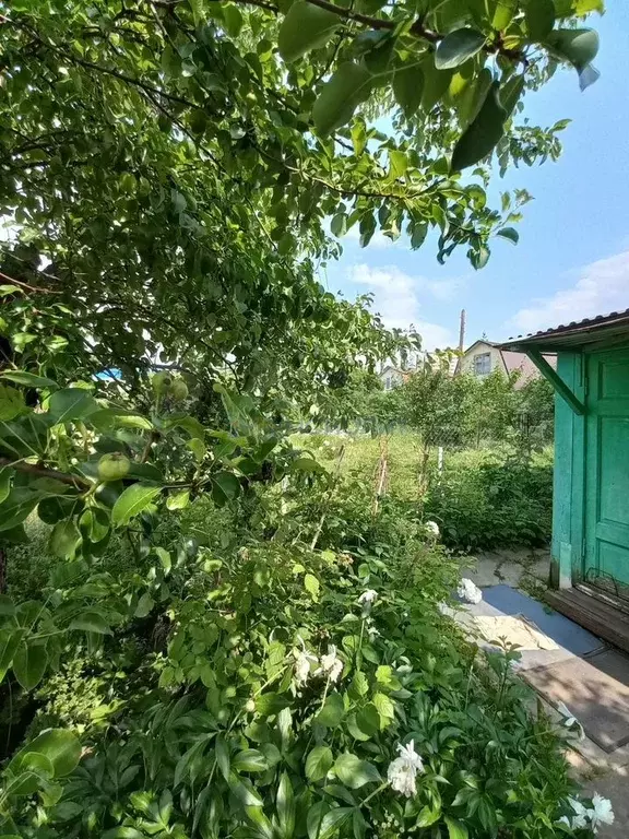 Дача 30 м на участке 5 сот. - Фото 1