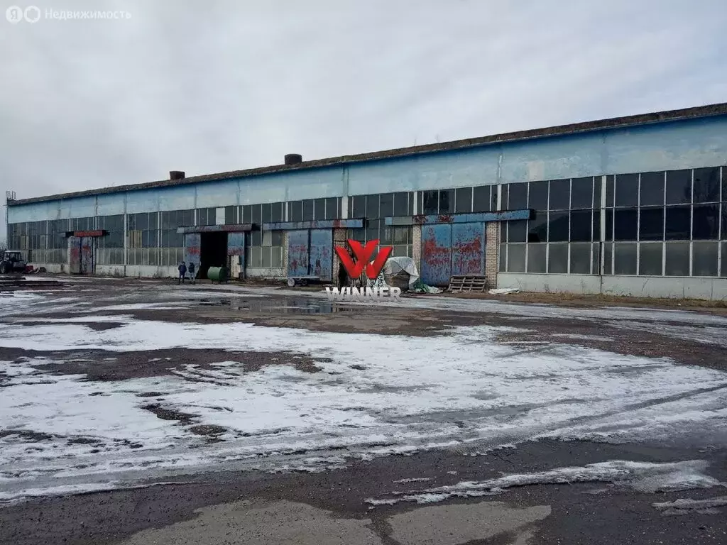 Производственное помещение (300 м) - Фото 1