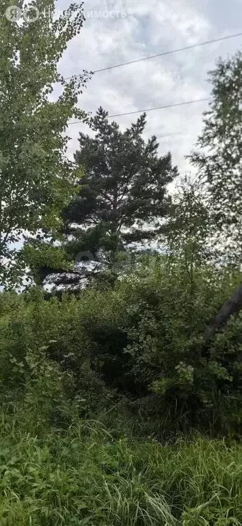 Участок в Тюменский район, СНТ Лесник-2, Звёздная улица (8.8 м) - Фото 1