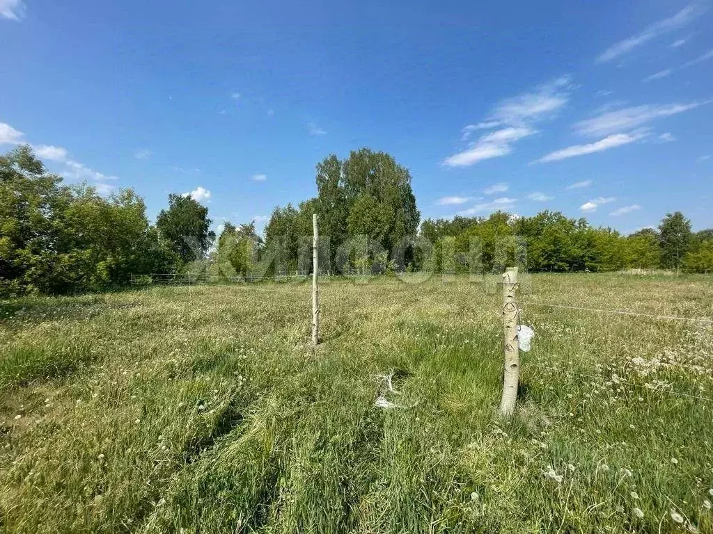 Участок в Новосибирская область, Мошковский район, с. Новомошковское ... - Фото 0