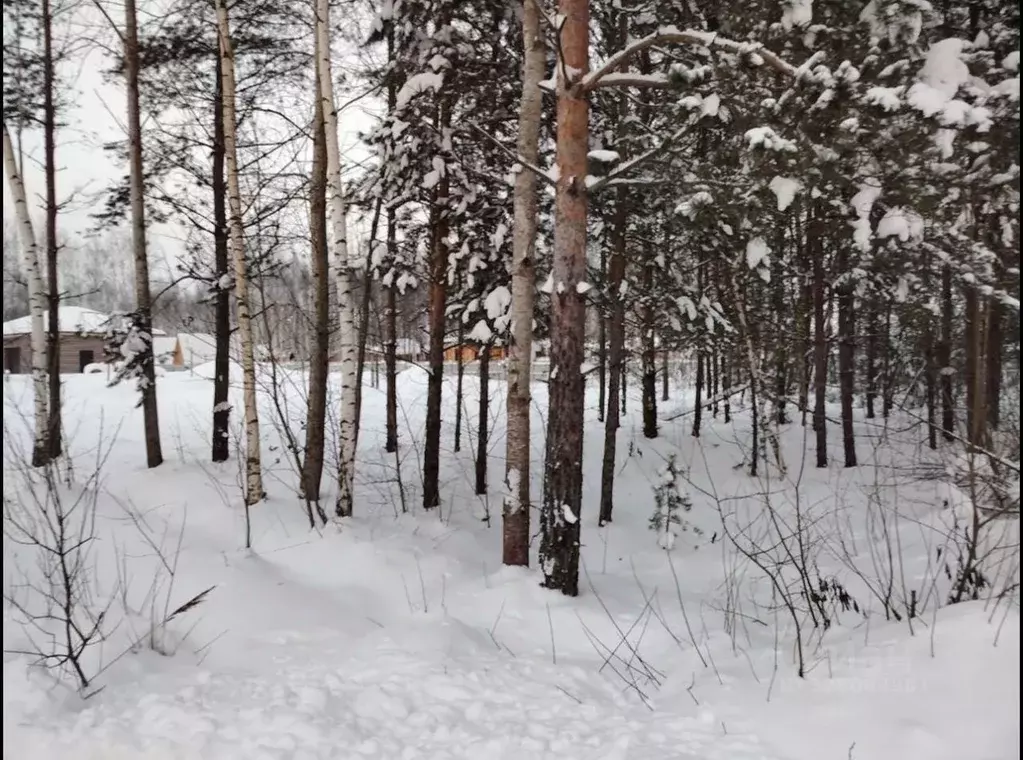 Участок в Московская область, Ликино-Дулево Орехово-Зуевский городской ... - Фото 1