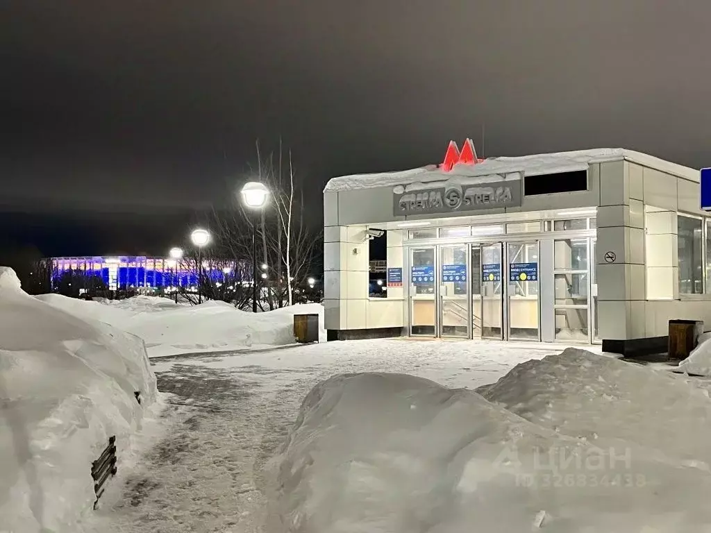 3-к кв. Нижегородская область, Нижний Новгород Мещерское Озеро ... - Фото 1