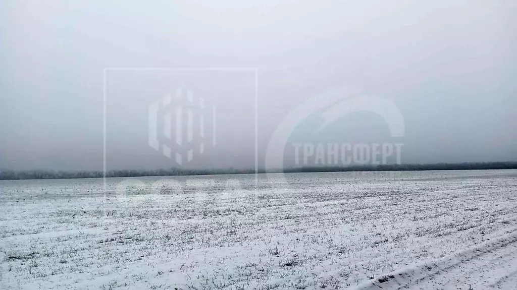 Участок в Воронежская область, Новоусманский район, Тимирязевское ... - Фото 1