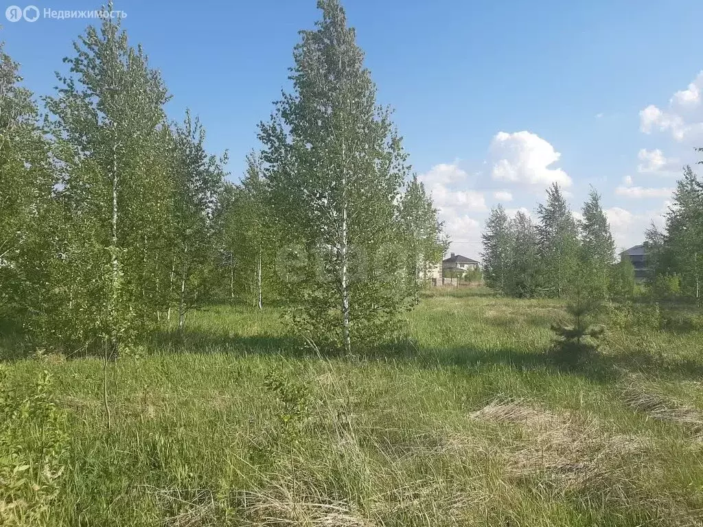 Участок в Республика Марий Эл, городской округ Йошкар-Ола, деревня ... - Фото 1