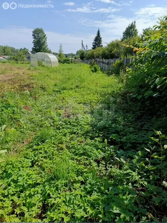 Участок в Ярославский муниципальный округ, деревня Мокеевское (9.62 м) - Фото 2