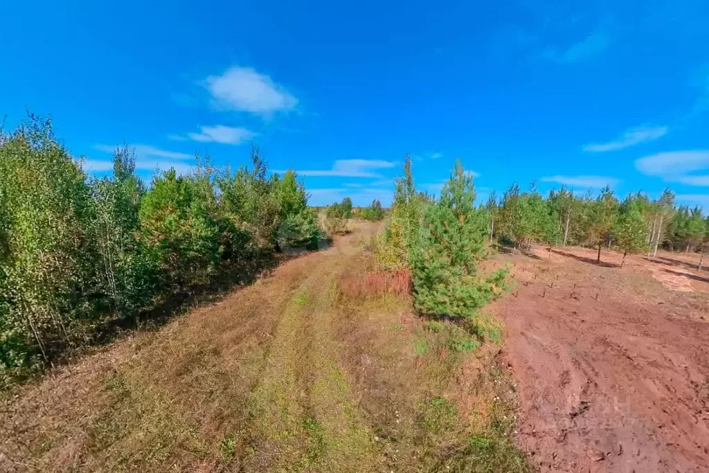 Участок в Тюменская область, Нижнетавдинский район, Озера Сундукуль ... - Фото 0