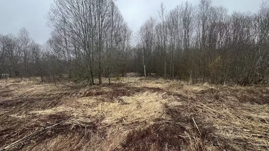 Участок в Московская область, Истра муниципальный округ, д. Шапково  ... - Фото 0