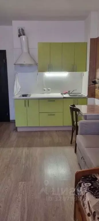 Студия Санкт-Петербург Союзный просп., 4 (23.7 м) - Фото 2