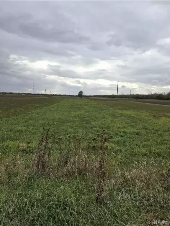 Участок в Краснодарский край, Усть-Лабинский район, Воронежское с/пос, ... - Фото 2