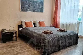 1-к кв. Ленинградская область, Выборг Вокзальная ул., 11 (28.0 м) - Фото 1