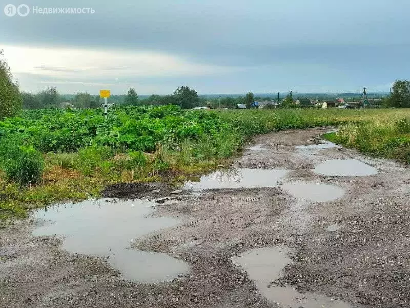 Участок в Ярославская область, Тутаевский муниципальный округ, деревня ... - Фото 1