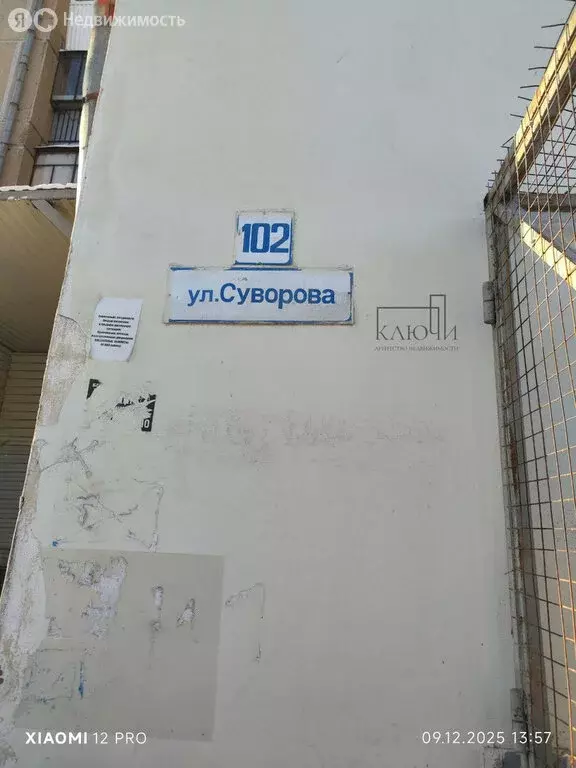 Офис (29.2 м) - Фото 1