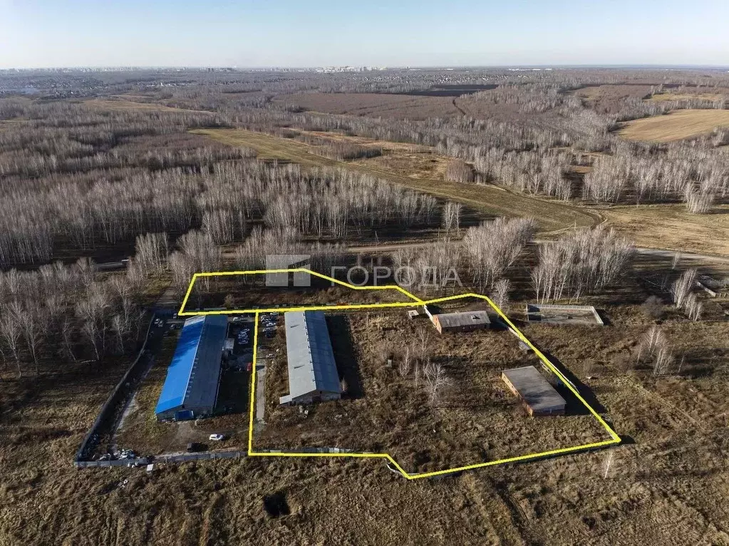 Склад в Новосибирская область, Новосибирский район, Каменский ... - Фото 2