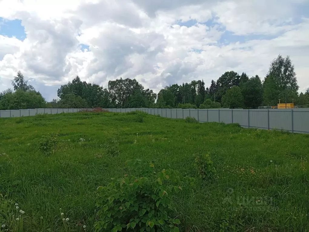 Участок в Московская область, Шаховская муниципальный округ, д. ... - Фото 1