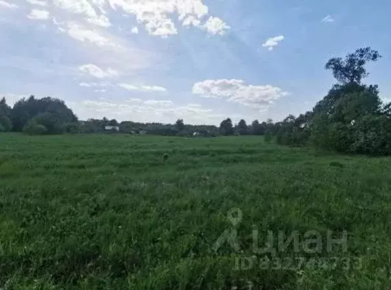 Участок в Московская область, Коломна городской округ, д. Чиликино  ... - Фото 1