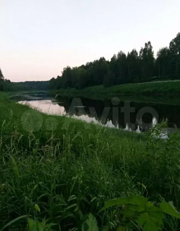 Участок 29 сот. (ИЖС) - Фото 0
