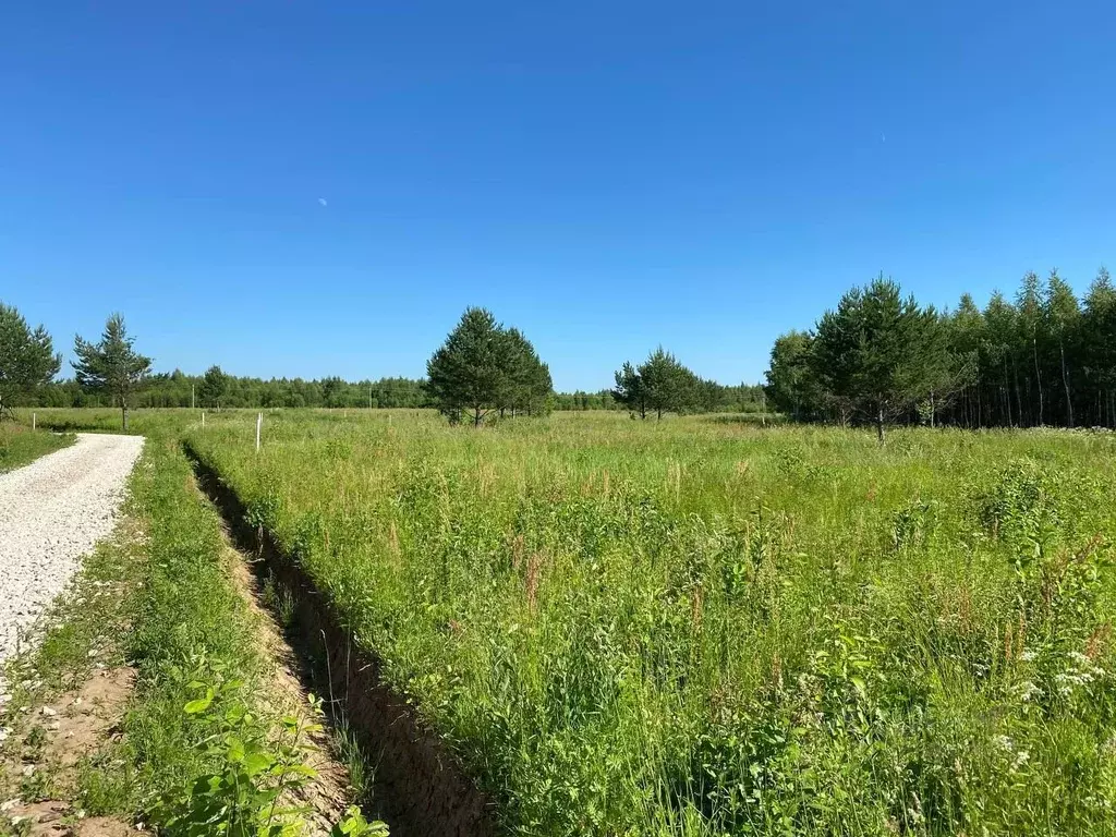 Участок в Тульская область, Заокский район, Страховское с/пос, д. ... - Фото 1