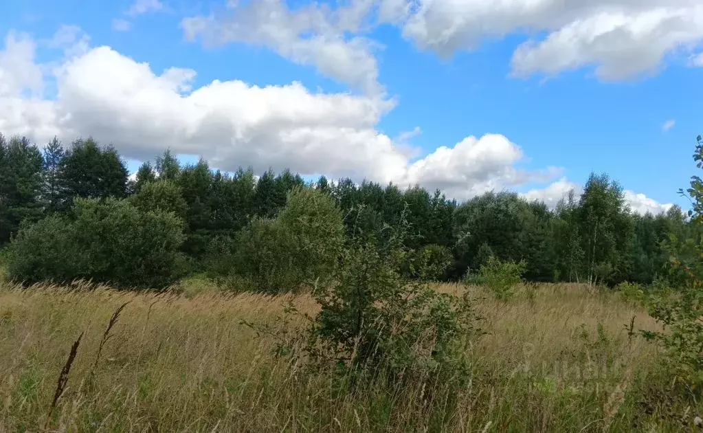 Участок в Московская область, Егорьевск муниципальный округ, с. ... - Фото 2