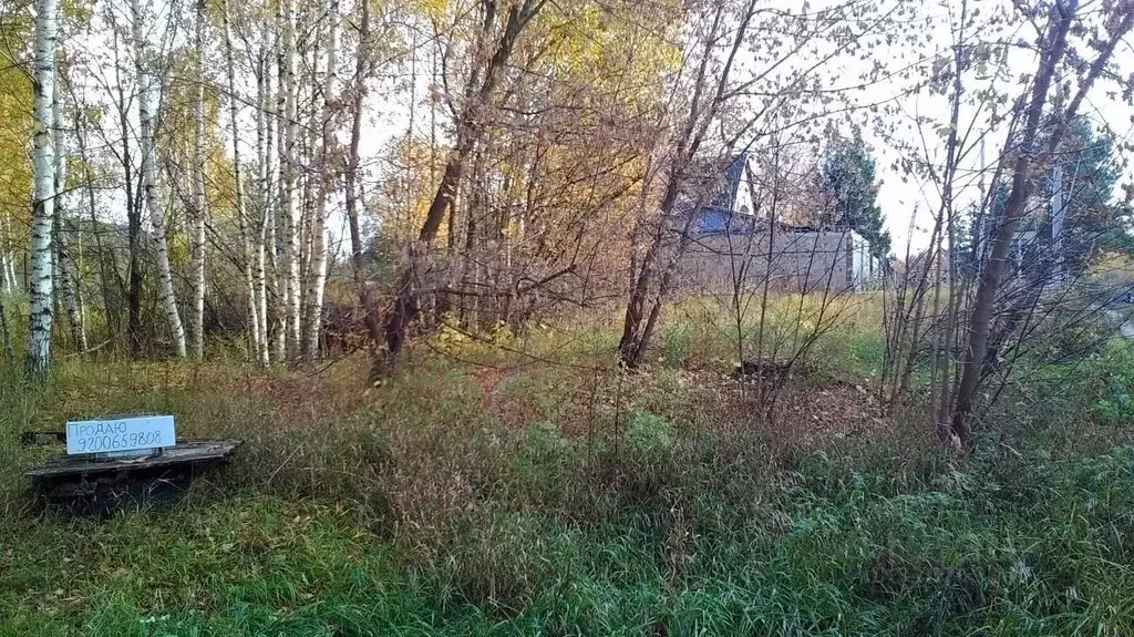 Участок в Нижегородская область, Бор городской округ, д. Рябинки 66 ... - Фото 0
