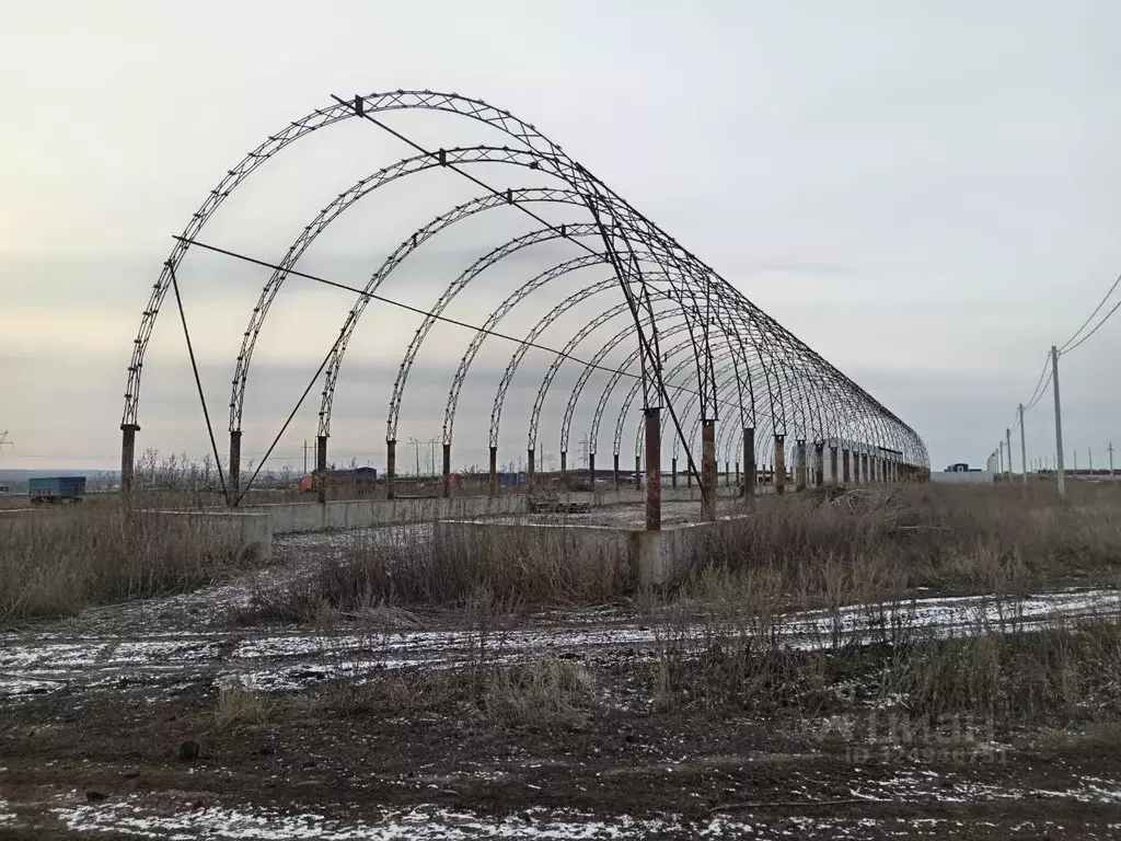 Участок в Оренбургская область, Сакмарский район, Татаро-Каргалинский ... - Фото 1