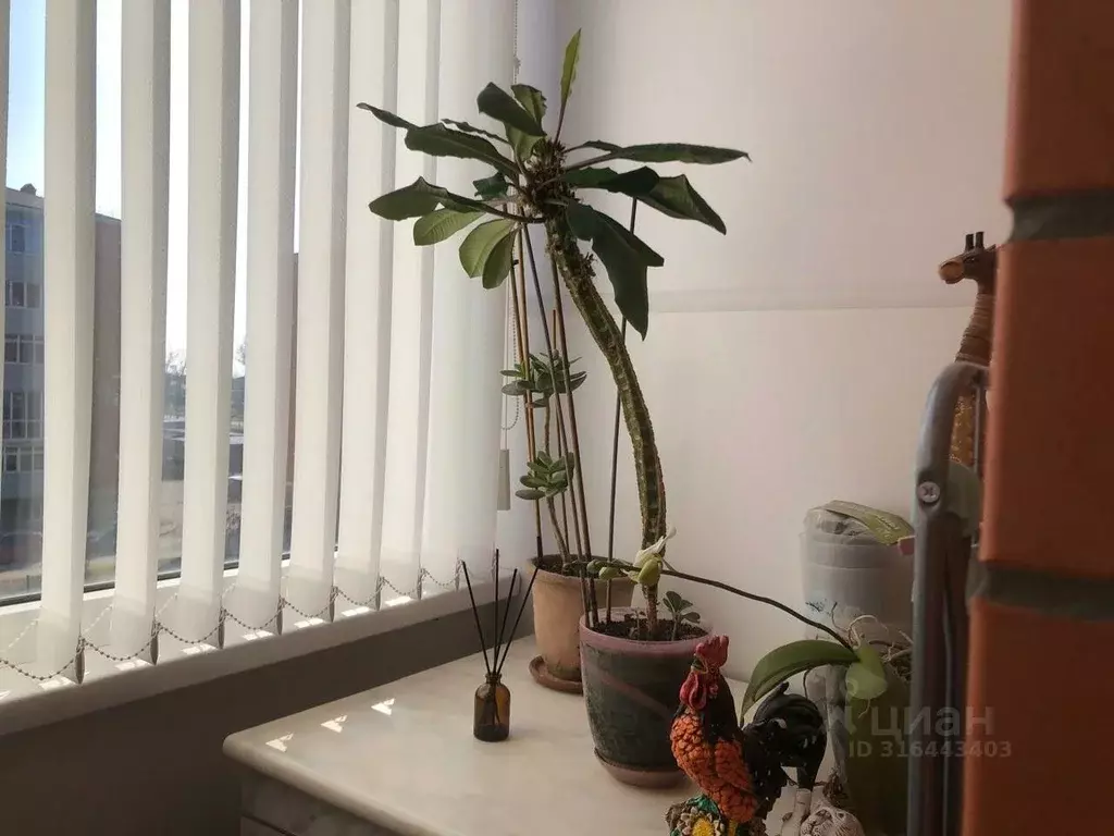 2-к кв. Краснодарский край, Темрюк ул. Анджиевского, 47Ак3 (64.5 м) - Фото 1