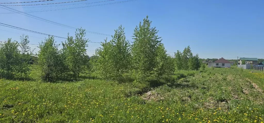 Участок в Московская область, Луховицы муниципальный округ, пос. ... - Фото 1