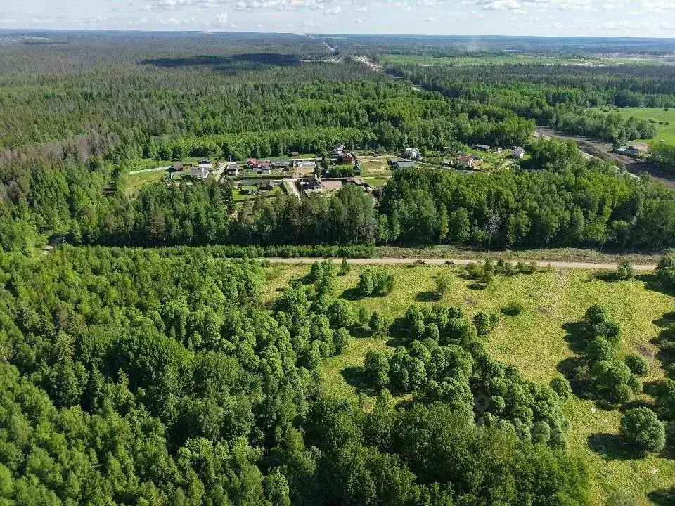 Участок в Ленинградская область, Выборгский район, пос. Первомайское  ... - Фото 2
