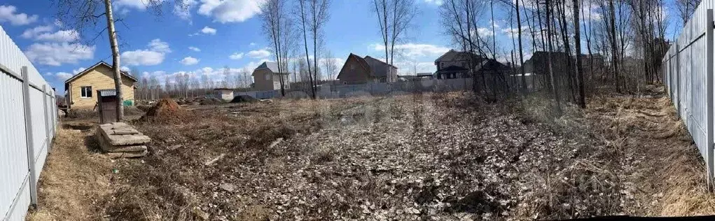 Участок в Ярославская область, Ярославский муниципальный округ, с. ... - Фото 1