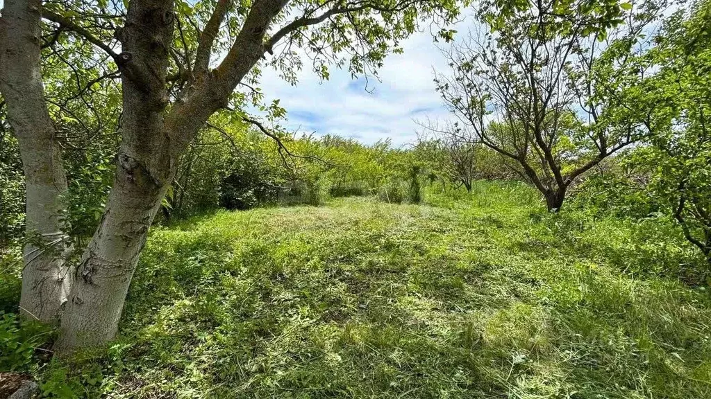 Участок в Ставропольский край, Шпаковский муниципальный округ, Демино ... - Фото 1