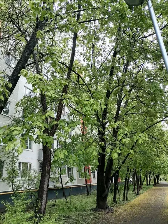 3-к кв. Москва ул. Старый Гай, 2К3 (59.2 м) - Фото 1