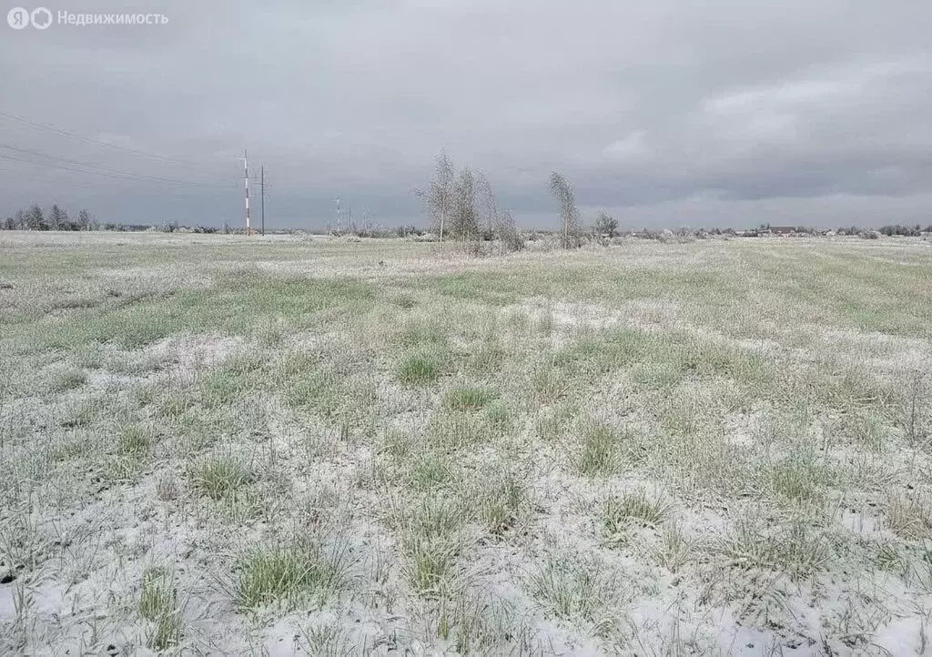 Участок в Щёкинский район, сельское поселение Яснополянское, село ... - Фото 1