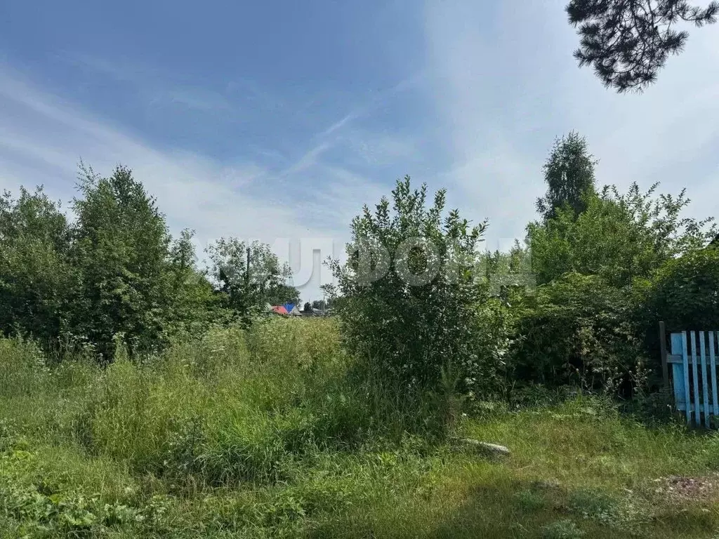 Участок в Томская область, Томск пос. Родионово,  (14.94 сот.) - Фото 2