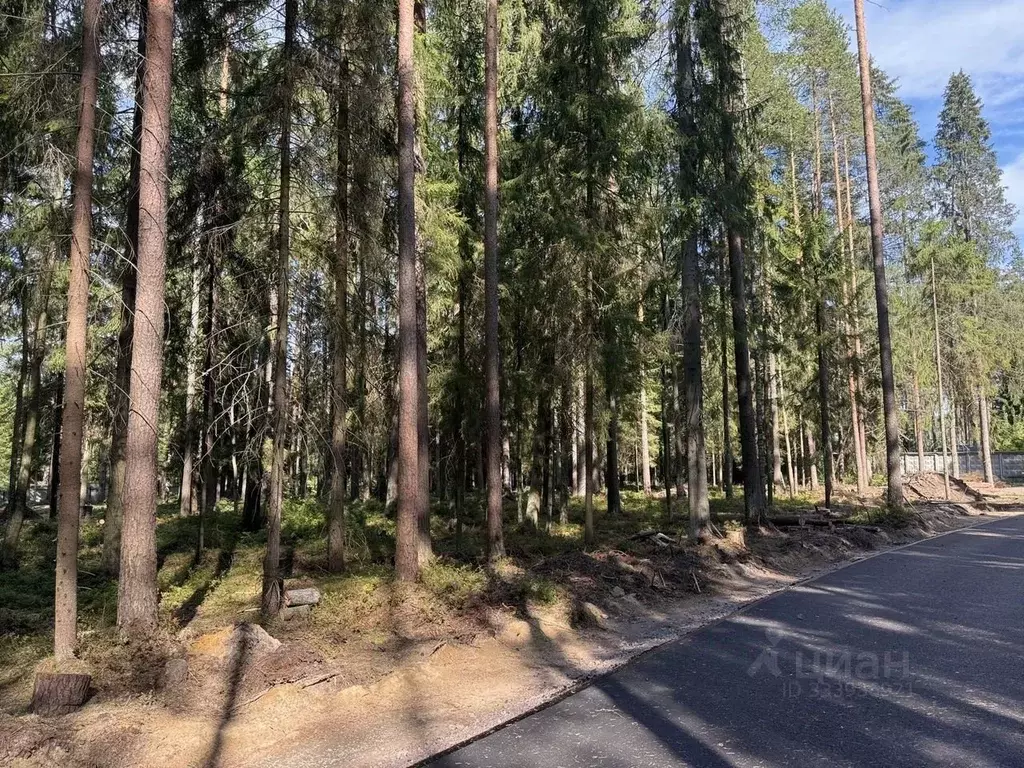 Участок в Санкт-Петербург пос. Репино, Финляндская ул., 7а (75.0 сот.) - Фото 2
