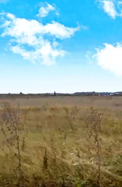 Участок в Омская область, Омский район муниципальный округ, с. ... - Фото 1