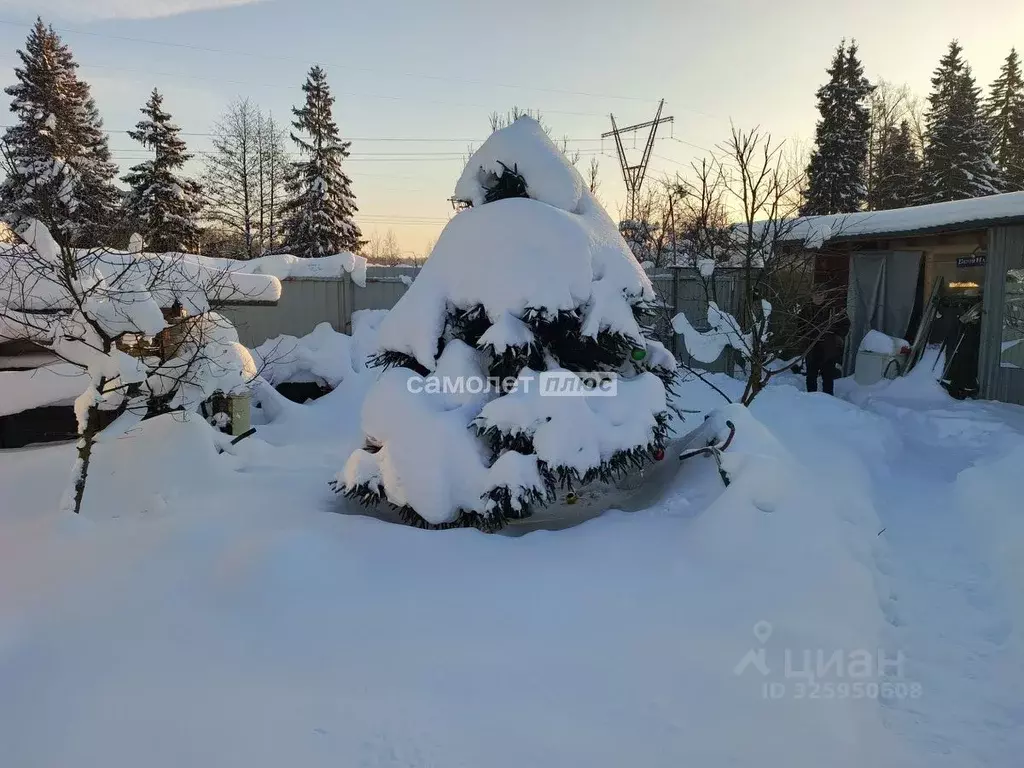 Участок в Московская область, Богородский городской округ, Металлист ... - Фото 1