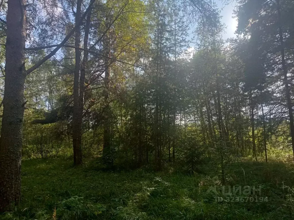 Участок в Московская область, Клин городской округ, с. Воздвиженское  ... - Фото 1