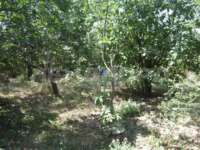 Участок в Ростовская область, Азовский район, Самарское с/пос, Спутник ... - Фото 2