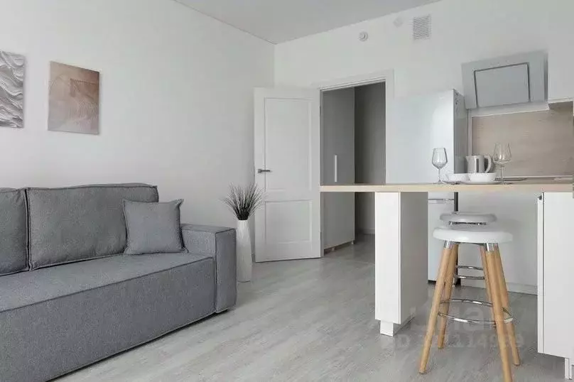 1-к кв. Санкт-Петербург просп. Обуховской обороны, 36 (26.0 м) - Фото 2