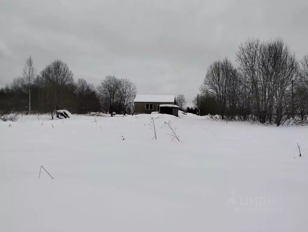 Участок в Московская область, Шаховская муниципальный округ, д. Паново ... - Фото 0