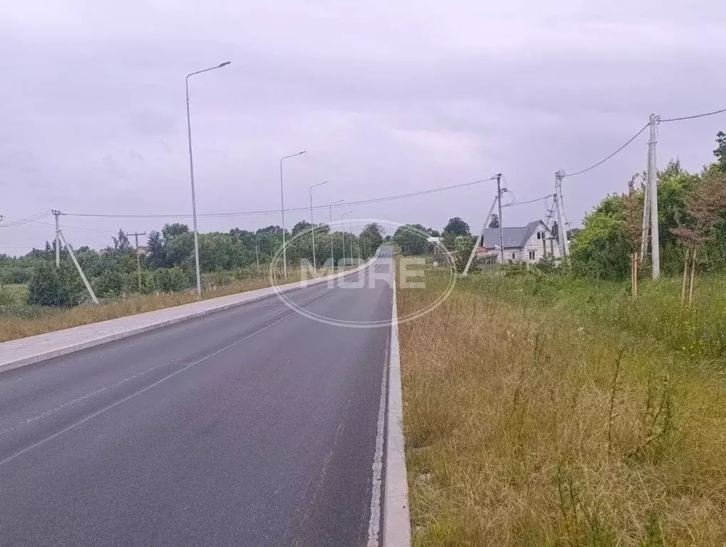 Участок в Калининградская область, Гурьевский муниципальный округ, ... - Фото 2