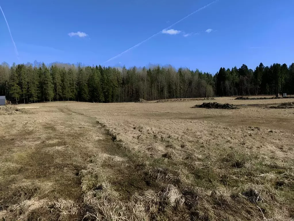 Участок в Ленинградская область, Ломоносовский район, Лопухинское ... - Фото 0