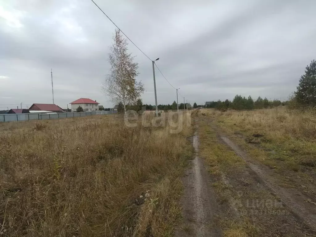 Участок в Курганская область, Шадринск ул. Носилова, 26 (8.0 сот.) - Фото 2