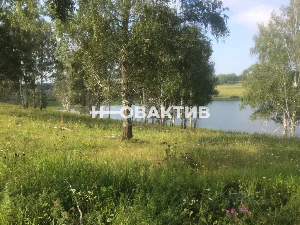 Участок в Новосибирская область, Мошковский район, с. Томилово  (993.9 ... - Фото 0