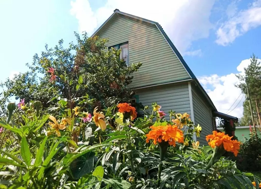 Дом в Карелия, Олонецкий район, Коверское с/пос, д. Сяндеба  (100 м) - Фото 2