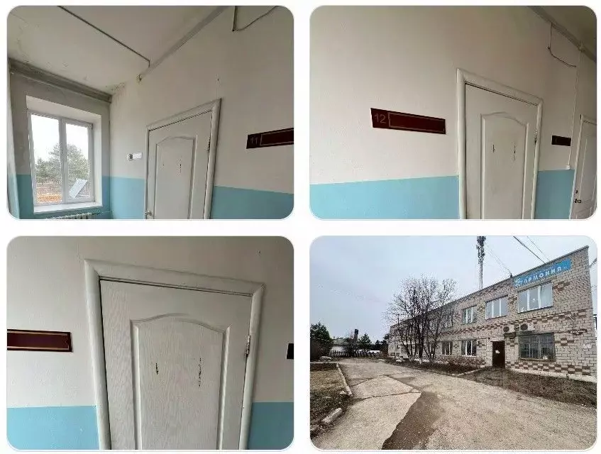 Помещение свободного назначения в Пермский край, Кунгурский ... - Фото 1